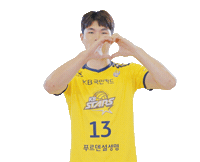 Kb스타즈 Sticker by KB STARS VOLLEYBALL CLUB