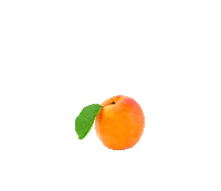 apricot turnuptheglow Sticker by Stives