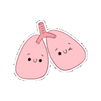 Kinesiologia Kine Sticker