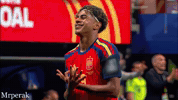 World Cup Fans GIF