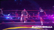 aaa worldwide fall GIF by Lucha Libre AAA