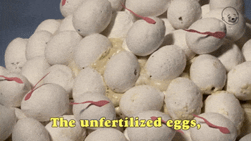 My Sons And Daughters