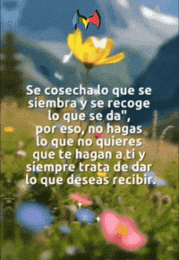 Amigos Flores GIF by Murcianys LLC