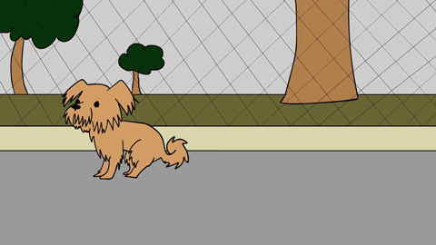 cartuna giphyupload funny weird poop GIF