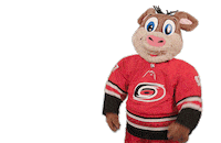 Sad Ice Hockey Sticker by NHL