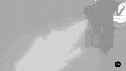 Guns Pistols GIF by R.K