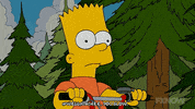 the simpsons GIF