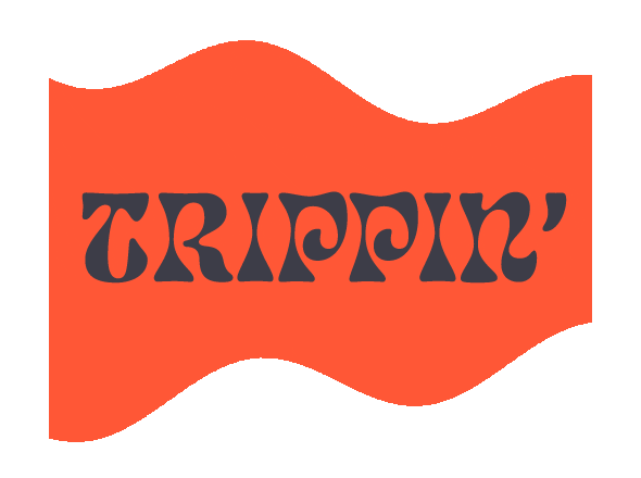 usyeverywhere giphyupload usy uscj epic2022 Sticker