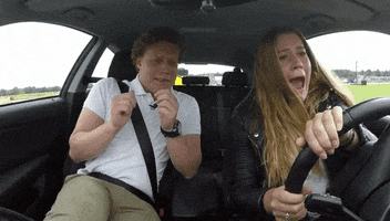 Car Screaming GIF by RTL
