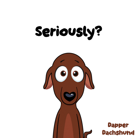 What The Hell Wtf GIF by VeeFriends