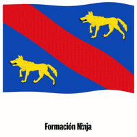 Bandera GIF by Formación Ninja