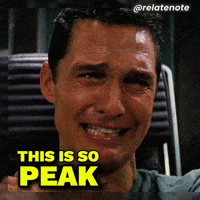 This Is Peak GIF