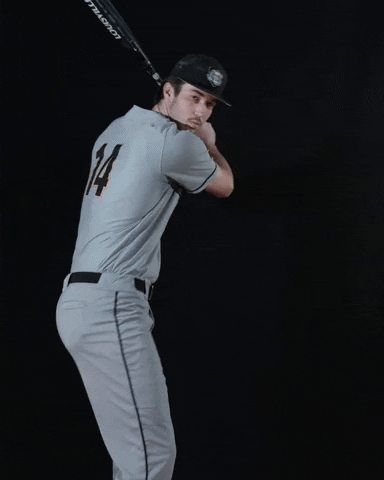 Baseball Swing GIF by Purdue Fort Wayne Athletics