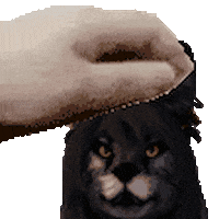 Cat Pet Sticker