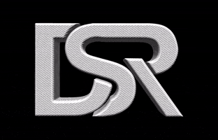 Draslaric logo brand dsr draslaric GIF