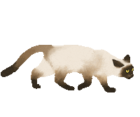 DoveLewisPDX cat siamesecat wetnose dovelewis Sticker
