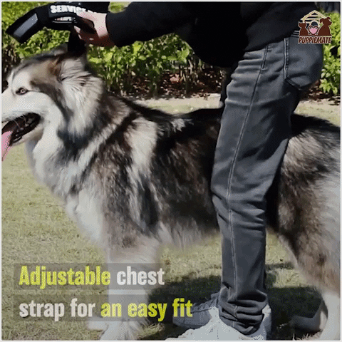 Puppiemate giphyupload GIF