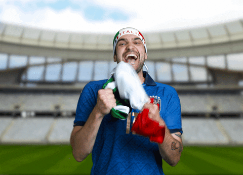 Euro Cup Football GIF by Jake Martella