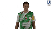 Handball-Bundesliga Sport GIF by LIQUI MOLY HBL