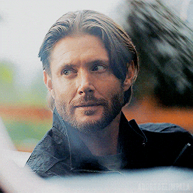 Tracker Smile GIF