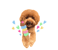 Dog いぬ Sticker