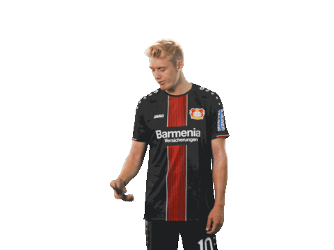 bundesliga werkself Sticker by Bayer 04 Leverkusen