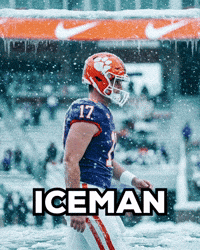 Clemson Tigers GIF
