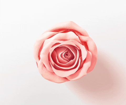 Pink Rose GIF by PanteneGreece