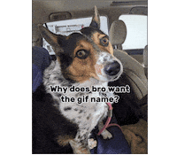 Sticker Sticker