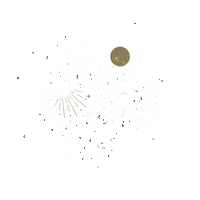 Dln Lnl Sticker by LesNuitsLumineuses