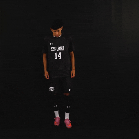Soccer Dons GIF by Purdue Fort Wayne Athletics