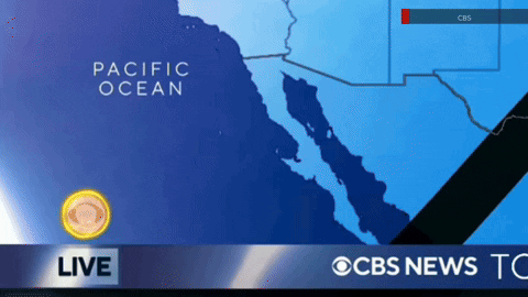 newscaststudio giphyupload GIF