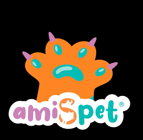 amiSpet giphyupload amispet amislover GIF