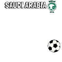 World Cup Football Sticker by Pudgy Penguins