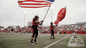 southeast missouri state university football GIF by SEMissouriState