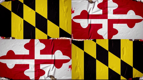 Maryland Football GIF by Maryland Terrapins