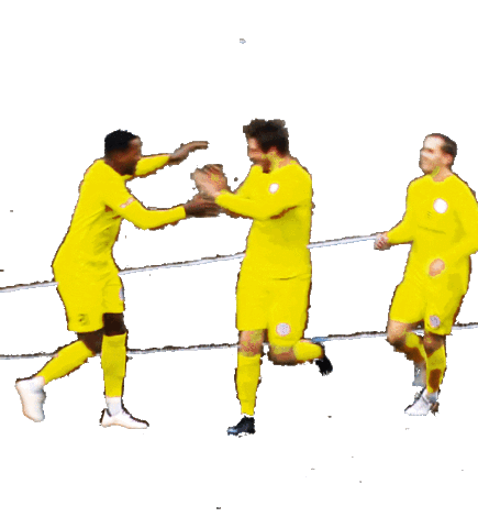 danny van den meiracker win Sticker by Tweede Divisie