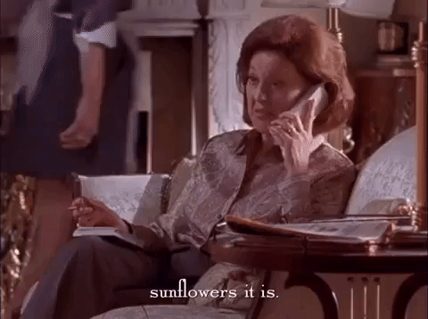 season 1 netflix GIF by Gilmore Girls 