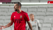 High Five Sl Benfica GIF by Sport Lisboa e Benfica