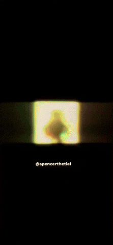 spencerthetiel meme giphystrobetesting instagram bird GIF
