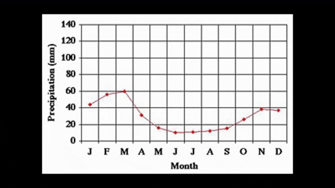 Simongip giphygifmaker GIF