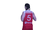 Basketball Turkey Sticker by Türkiye Basketbol Federasyonu