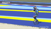 Celebration Winning GIF by MotoGP™