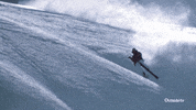 sport wow GIF by Outside TV