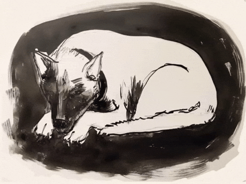 Angry Let Sleeping Dogs Lie GIF by Barbara Pozzi