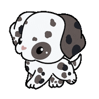 Dog Dalmata Sticker