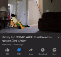 Girl Wheelchair GIF