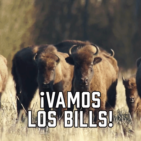 ¡Vamos Los Bills!