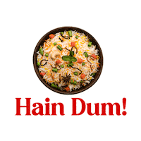 haldiramsnagpur rice biryani ready to eat frozen food Sticker