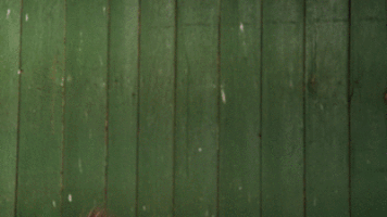 auf keinen fall no GIF by funk